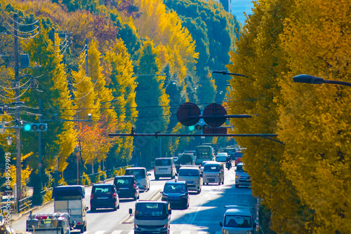 A cityscape of traffic jam at the yellow gingko street in Tokyo telephoto shot