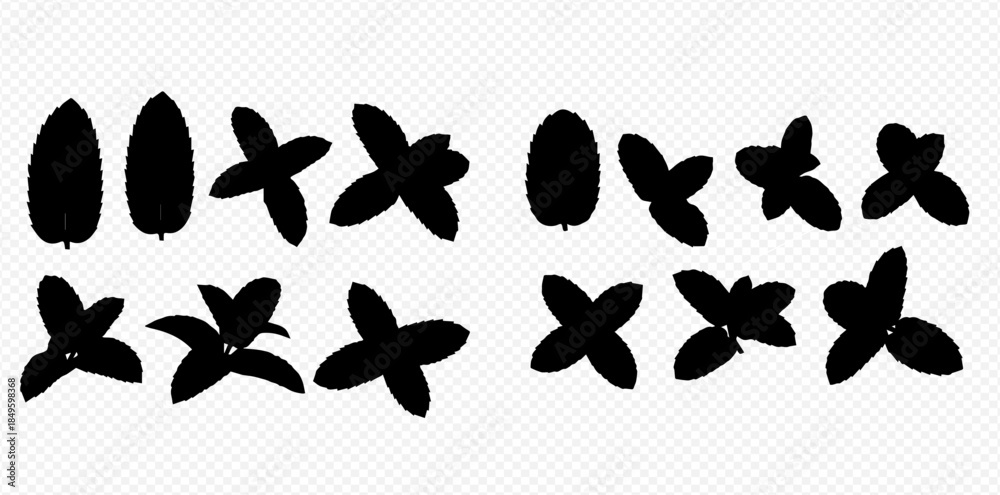 Fototapeta premium Collection of various black silhouetted leaf shapes and plant elements on a transparent background.