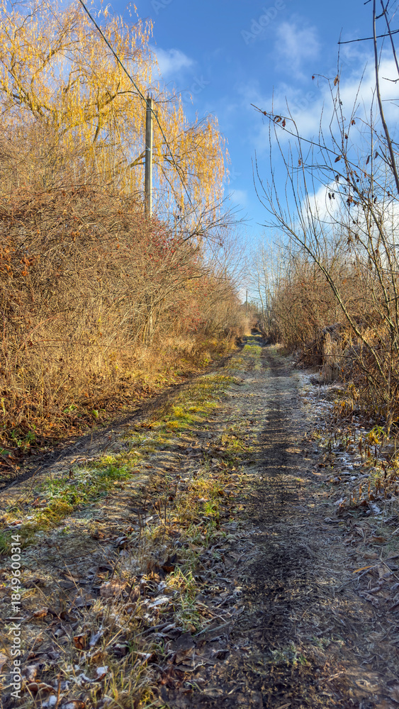 Obraz premium A dirt road with trees in the background