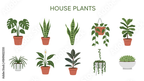 An illustration of nine different potted house plants displayed against a white background