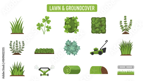 Collection of green lawn and groundcover plants tools and rolled sod illustrations