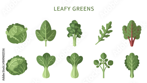 Flat illustration of ten different leafy green vegetables in two rows
