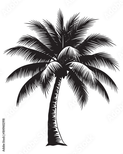 A tropical summer vacation silhouette of coconut palm trees stands against a nature island beach sky in this travel illustration