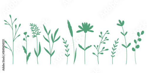 Herbs and wildflowers in silhouette. Set of spring and summer blades of grass, field flowers. Botanical clip art bunch, Vector elements