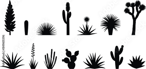 Collection of Desert Plant Silhouettes in Black and White Keywords: desert, plants, cactus, succulents, flora, vegetation