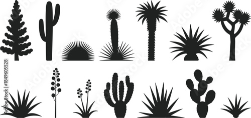 Collection of desert plants and cacti in silhouette against a white background succulents