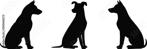 Three Black Silhouettes of Large Dog Breeds Sitting in Profile Against White dogs large breed