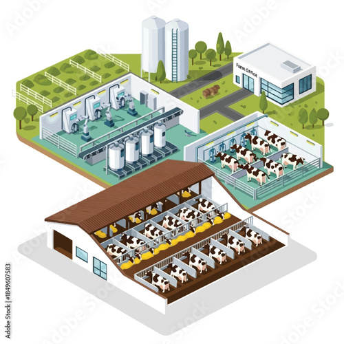 Isometric illustration of a modern dairy farm showing cows in a barn, automated milking parlor, milk processing, and storage silos.