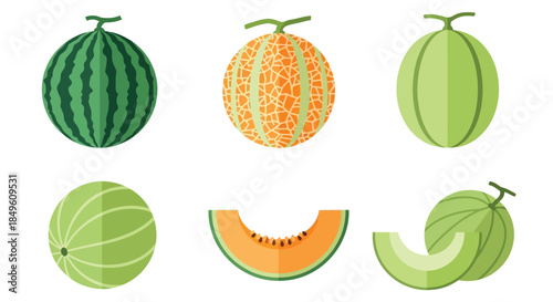 Various types of fresh melons and watermelons in a collection.