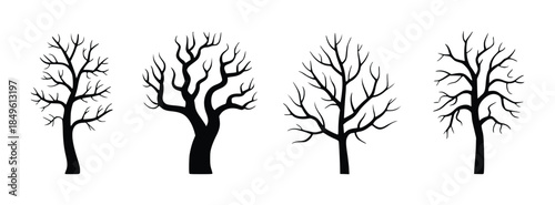 Black bare tree silhouettes with intricate branches against a white