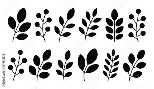 Collection of black botanical silhouettes with leaves and berries white