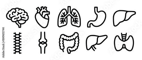 Collection of black representing human internal organs and skeletal structures brain heart