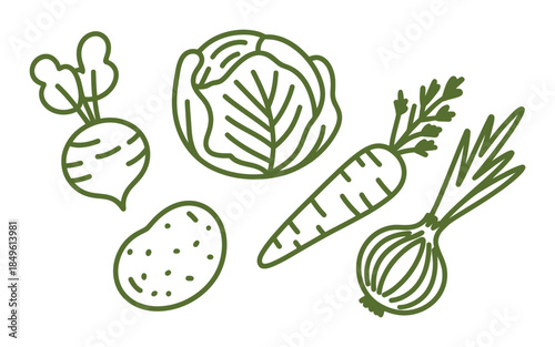 Collection of hand drawn green outline vegetables including cabbage carrot potato onion and beet food