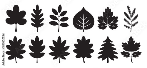 collection of various autumn leaf and tree silhouettes 
