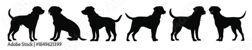 labrador retriever dog silhouette bundle 