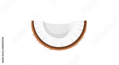 Fresh Coconut Half Isolated on White Background.