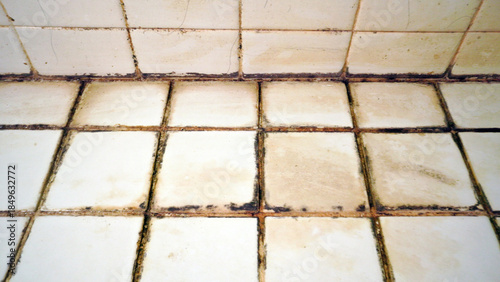 Black mold caused by dirt and dampness. Close-up of black mold on bathroom floor. 