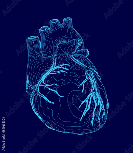 A detailed human heart contour in vivid blue stands out against a dark background. The anatomical illustration emphasizes intricate vascular details and structure.