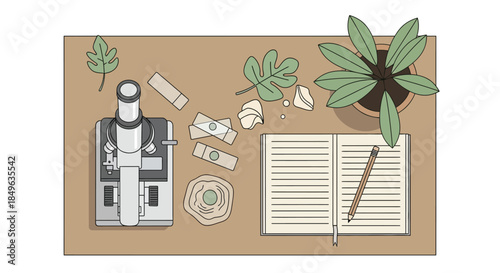 Microscope and notebook on a desk with plant and leaves.