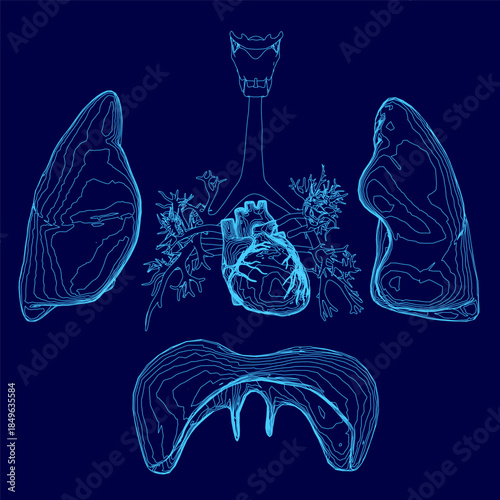 A detailed anatomical diagram of the human respiratory system, including lungs, bronchi, trachea, and diaphragm, is presented on a blue background.