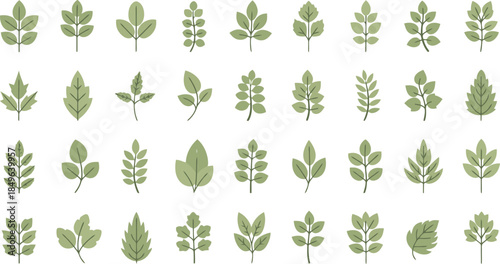 Collection of Various Green Leafy Plant Sprigs.