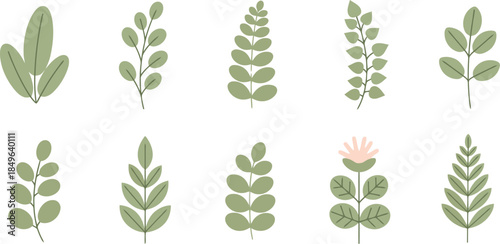 Set of various green leaves and branches botanical illustration.