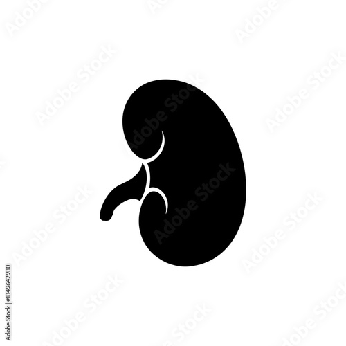 Black silhouette of a human kidney with detailed structure