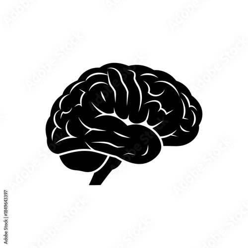 A black silhouette of a human brain on a pure for medical or educational use