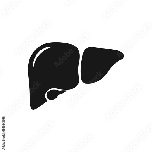 Black silhouette of a human liver on a pure for medical concepts