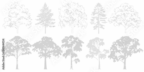 Silhouettes of various tree types arranged in a neat linear composition