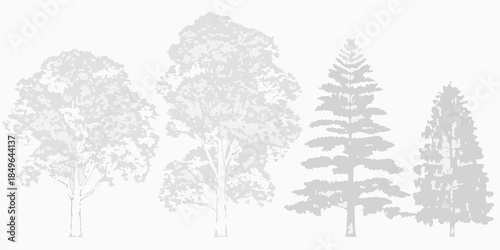 Silhouetted trees in grayscale a minimalist depiction of nature s forms
