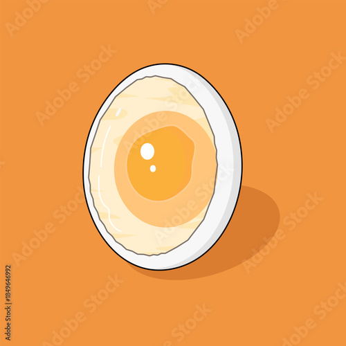 Cutaway Egg Showing Internal Structure and Yolk Detail