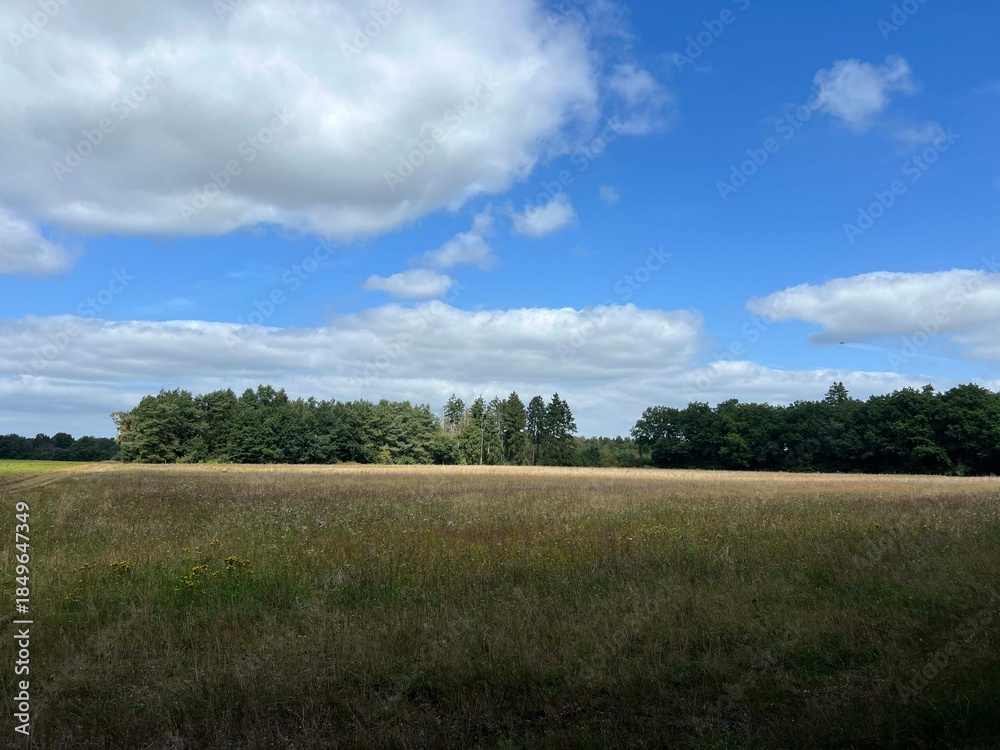 Fototapeta premium Scenery around Buinen in Drenthe