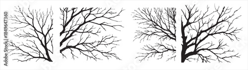 minimal autumn naked tree vector silhouette