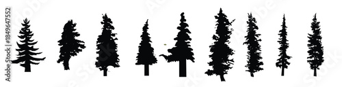 mountain tree silhouettes vector