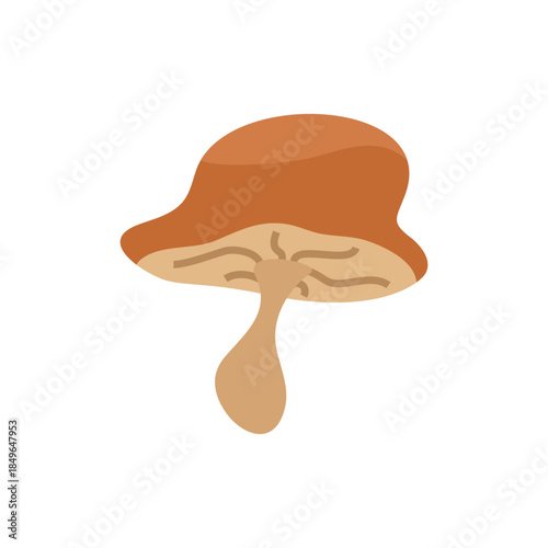 Brown Mushroom.eps