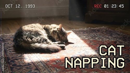 Cat Sleeping on Carpet in Sunlight.