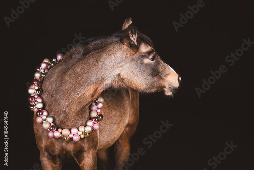 Pferd mit Kugelgirlande um den Hals
