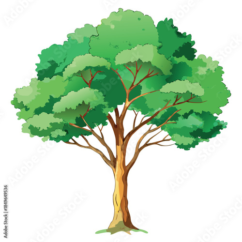 A lush green tree with a wide leafy canopy and brown trunk, illustrated in a soft watercolor vector style on a white background.