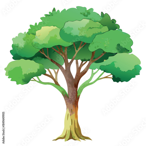 A lush green tree with a wide leafy canopy and brown trunk, illustrated in a soft watercolor vector style on a white background.