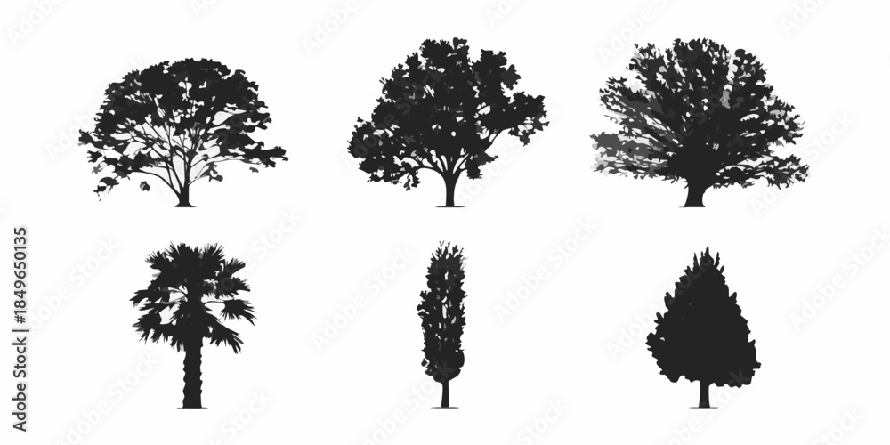 Fototapeta premium Silhouettes of diverse trees oak palm cypress and other foliage types