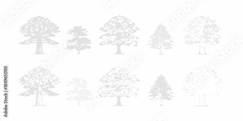 Silhouettes of various evergreen and deciduous trees against a white background