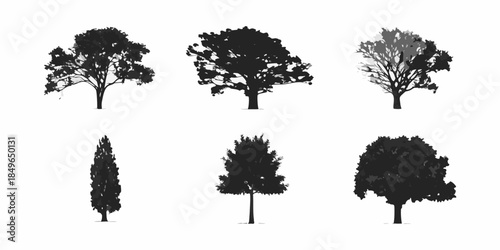 Collection of silhouettes depicting diverse tree types against a white background