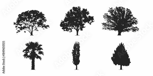 Silhouettes of diverse trees oak palm cypress and other foliage types