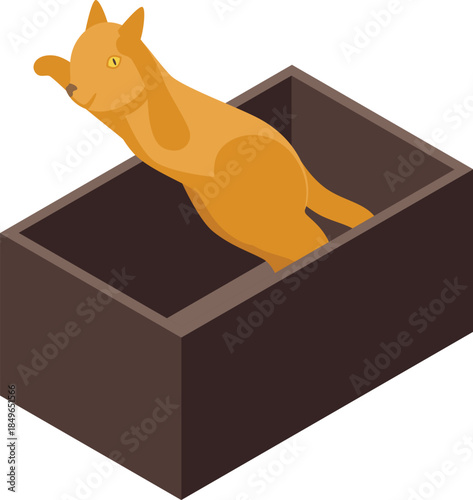 Ginger kitten jumping out of a cardboard box, playful behavior and feline curiosity