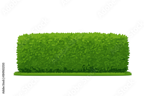 Green Hedge Wall with Grass Base