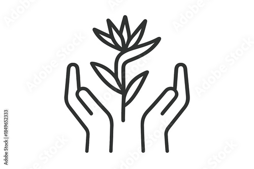 Hands holding a growing plant with leaves and a flower