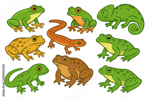 Collection of cartoon frogs, salamander, and chameleon on green background