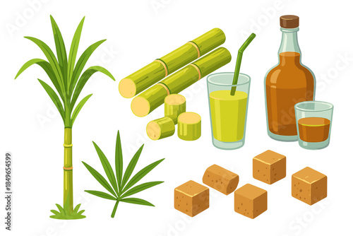 Sugarcane products: juice, sugar and rum