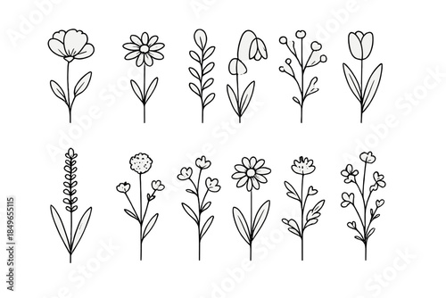Hand-drawn floral elements on a gradient background